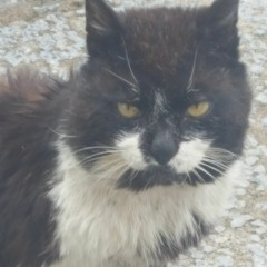 saada pyaar - ap dhillon, gurinder gill, money music (slowed & reverbed).mp3