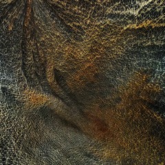 Mikael Tobias - Rarefied [Barkhausen Recordings]