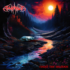Count The Shadows