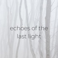 Echoes Of The Last Light