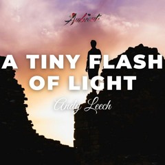 Andy Leech - A Tiny Flash of Light