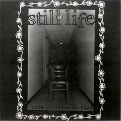 Still Life - Small