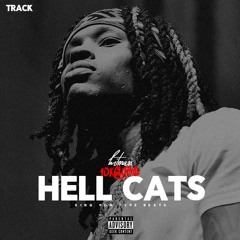 HELL CATS - King Von Type Beat [10kglobal X Hitman]