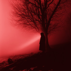 the void inside of me