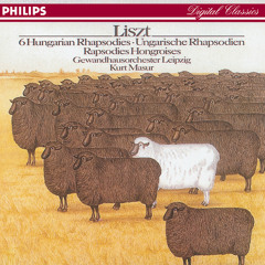 Hungarian Rhapsody No. 5 in E minor, S.359 No. 5 (Corresponds with piano versionNo. 5 in E minor) - Orch. Liszt
