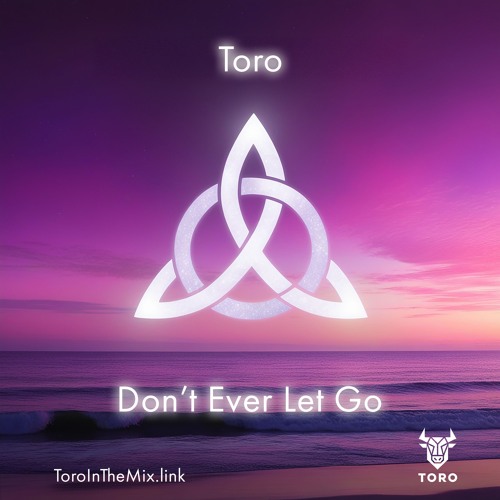 Toro - Don't Ever Let Go (Radio Edit)