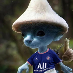 Stranogo Bac pro harceuleur professionnel