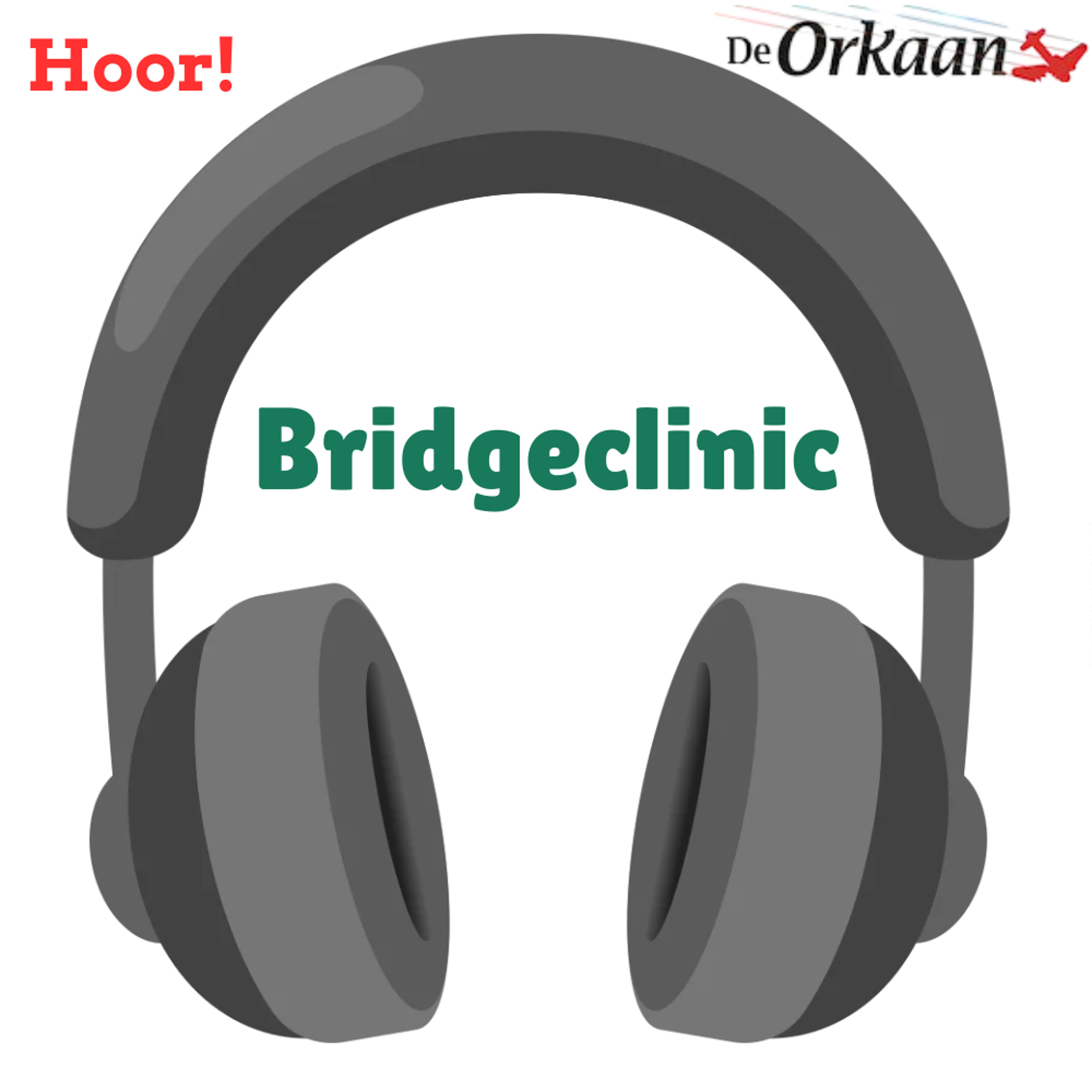 Clinic moet bridge weer op de kaart zetten in de Zaanstreek