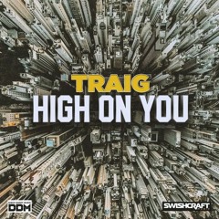 High On You (The Disko Katz Anthem)