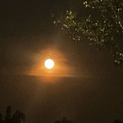 in luv wit a bullet.mp3