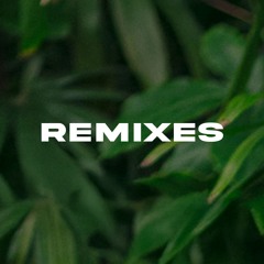 REMIXES