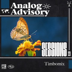 Analog Advisory Sessions 073: Timbomix