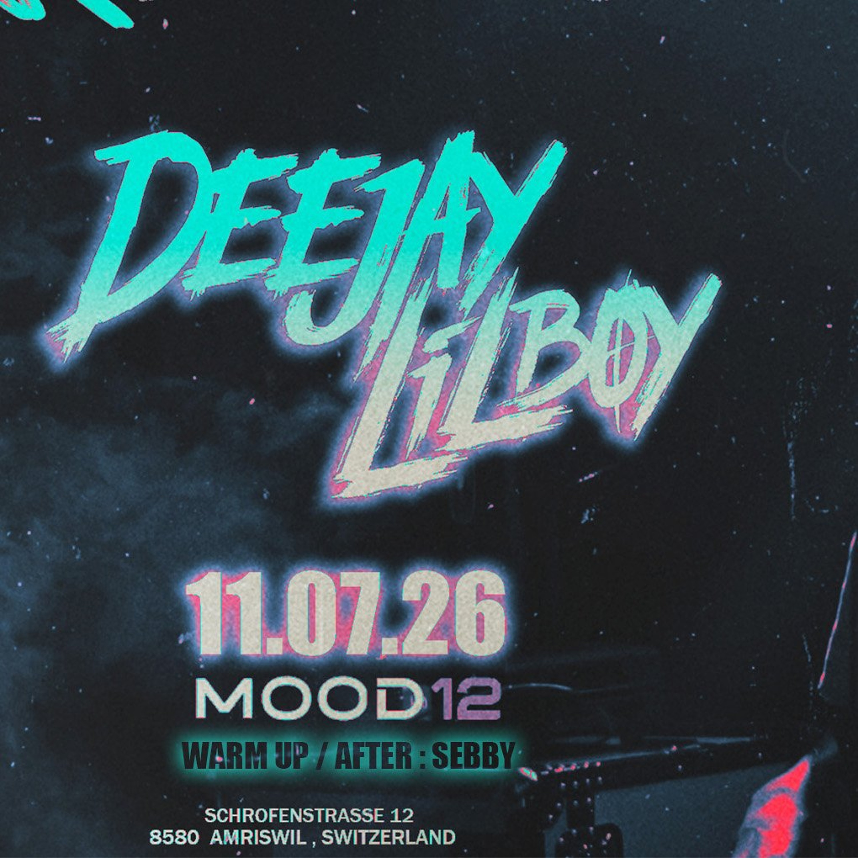 Techno Rave Party 2026 @ Mood12 (Switzerland) @ Deejay Lil'Boy Dj Set
