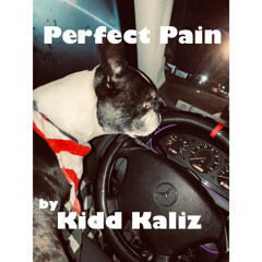 Kidd Kaliz - Perfect Pain