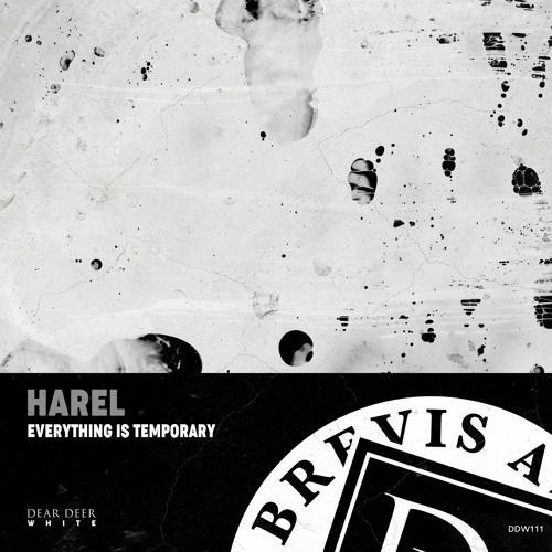 Harel - Everything Is Temporary (Original Mix)