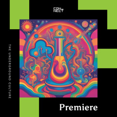 PREMIERE: Amir Telem - Everything I Need [Melody Lab]