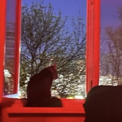 Без названия