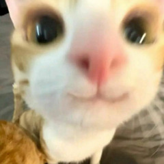 Suffocation but the intro is heavenly [edited intro loop & slightly extended]