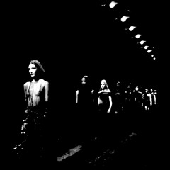 LIGHTS CAMERA ACTION!