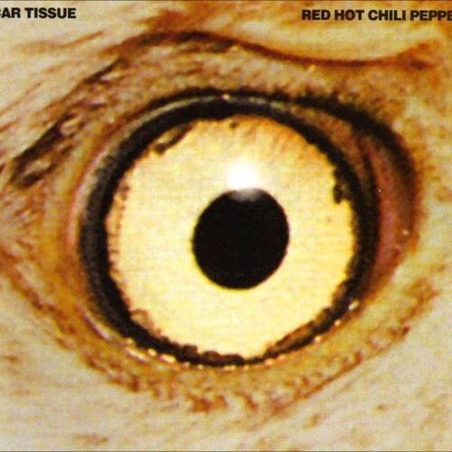 Red Hot Chili Peppers - Instrumental #1