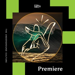 PREMIERE: Sylvio B - My Story ft. Robert Owens [Major Records]