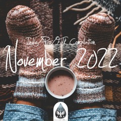 Indie/Pop/Folk Compilation - November 2022 (alexrainbirdMusic)