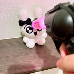🐰DJ