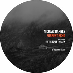 Nicolas Barnes - Fit the Scale [Crossfade Sounds]