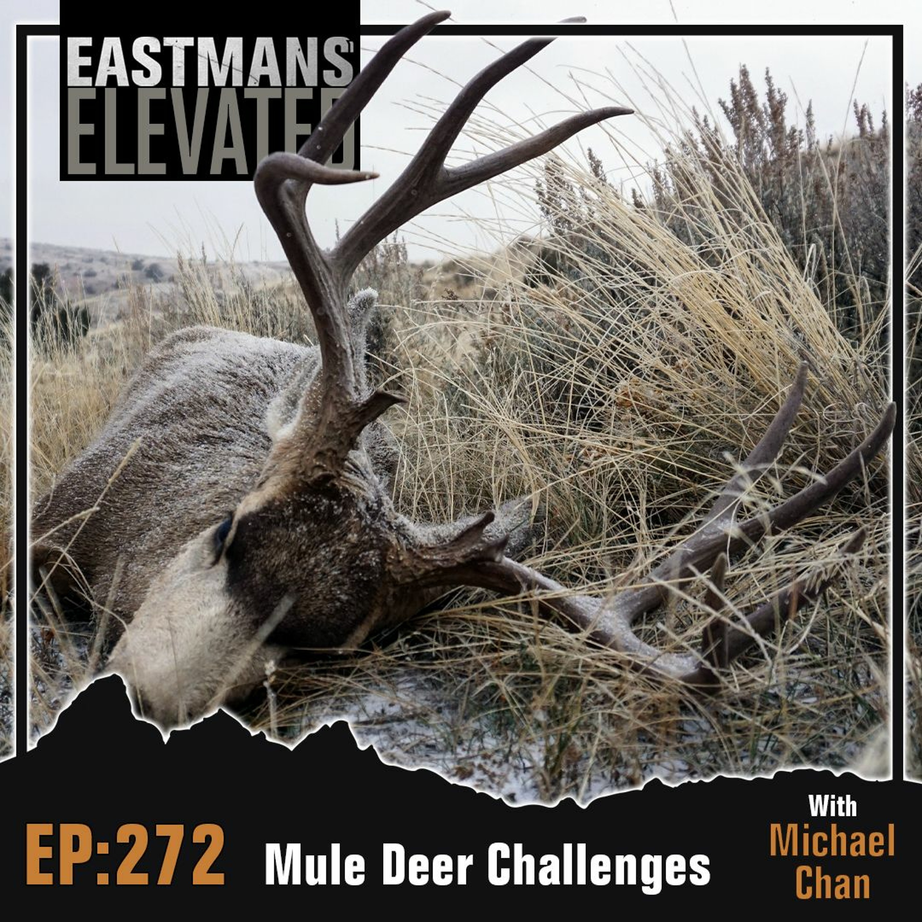 Episode 272: Mule Deer Challenges with Michael Chan