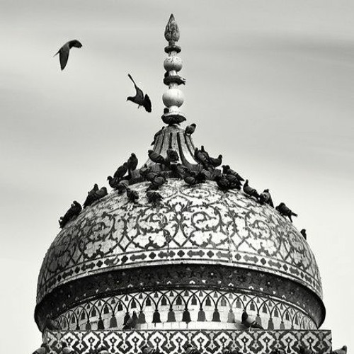 حَقيقَةُ الحَياة
