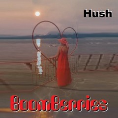 Hush - BoomBerries