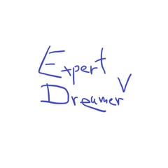 Expert Dreamer V