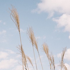 La, li, la, oui (pt II: chanson d'O)