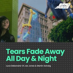 Tears Fade Away All Day & Night - Luca Debonaire VS Jax Jones & Martin Solveig (Preview) [Free DL]
