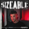 The Sizeable Mix Vol. 46: Shkedul DJ mix artwork - Electronic music tracklist cover image