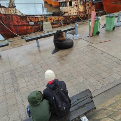 Eneas y vitogodzilla - arcoiris nocturnos