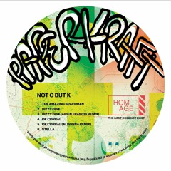 PREMIERE: Paperkraft - Dizzy Disk (Aiden Francis Remix)