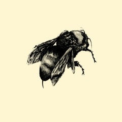 bee (prod. gioshawty)