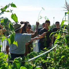 Gardening With Embark - Week 49 Gifts for Gardeners