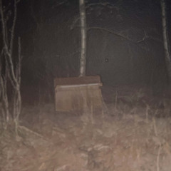 Bleeding (feat. Keppmann)