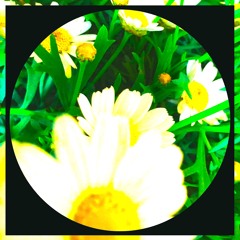 Flavours (Original Mix)