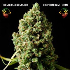 Firestar Soundsystem - Drop That Bass For Me [FREE DOWNLOAD]