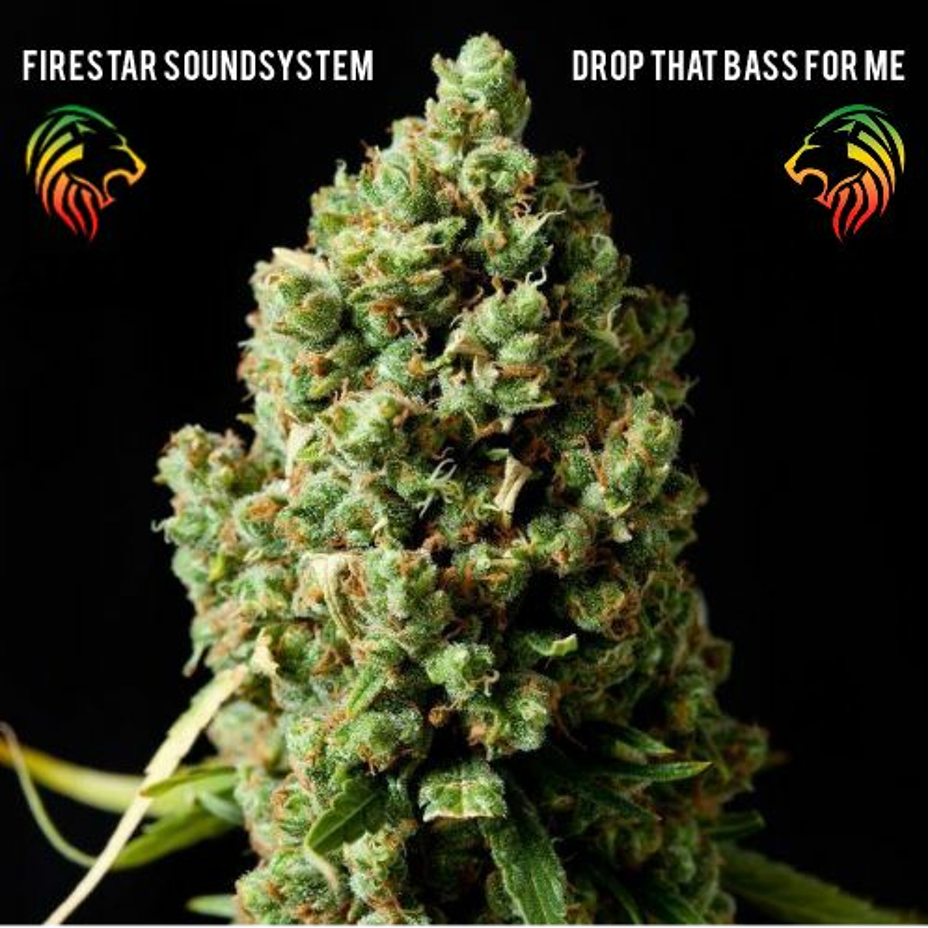Firestar Soundsystem Firetraxxx Radio [Breaks & Bass]