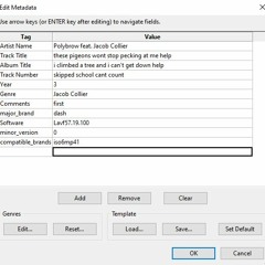 Scruffy Bird Business In Da BurdNest