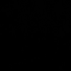 ANT WAN - FALSK OSLÄPPT 2023