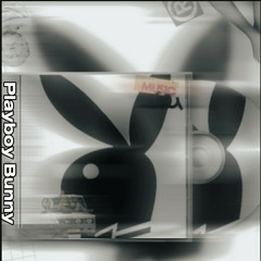 Playboy Bunny [prod.gdeng]