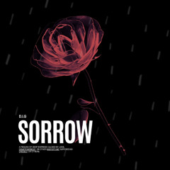 D.I.G - Sorrow