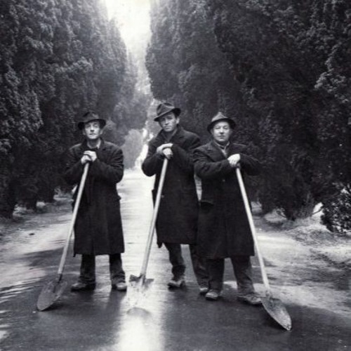 Gravediggers  Groovz