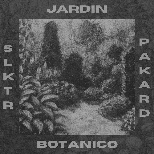 SLKTR - Botánico (Original Mix) [Free Download]