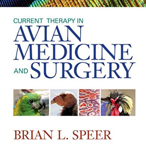 [READ] KINDLE 🖌️ Current Therapy in Avian Medicine and Surgery by  Brian Speer DVN D